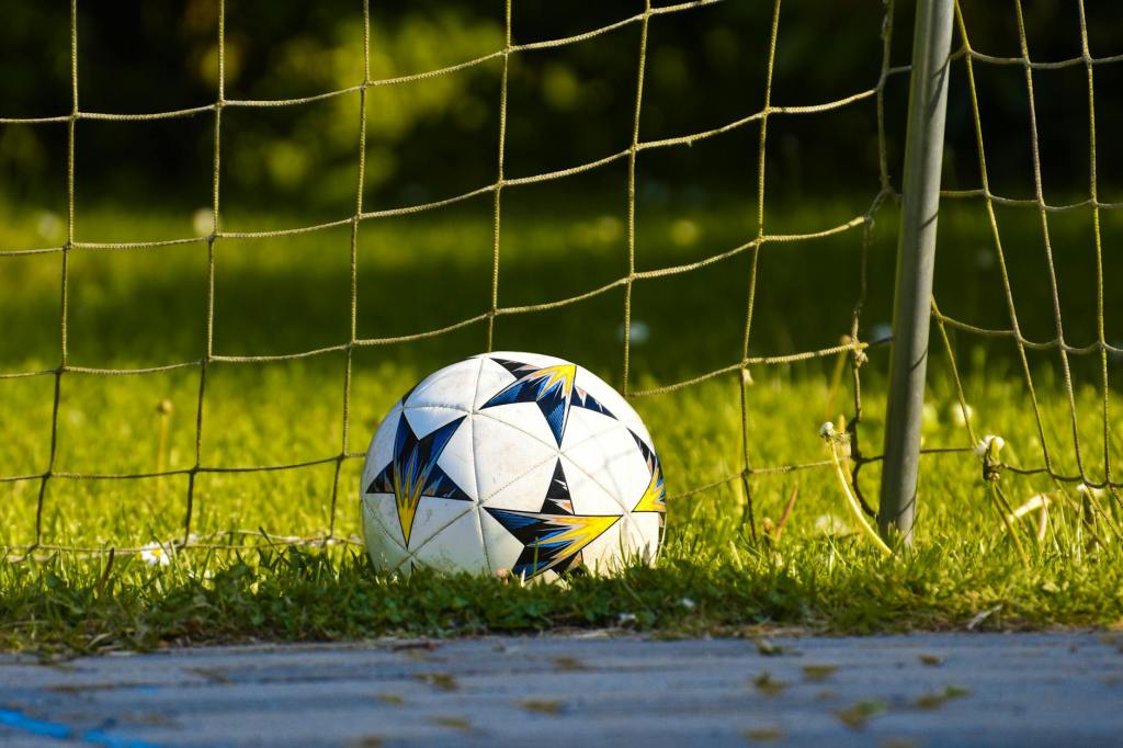 white soccer ball on green grass field